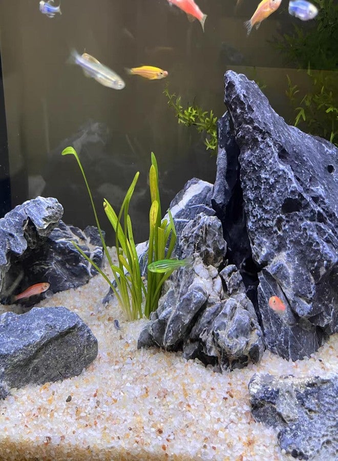 FANTIAN رمل سيليكا لأحواض السمك من فانتيان، وزن 5 أرطال. حصى صغير بحجم 0.4-0.8 مم، مناسب لأحواض السمك، والنباتات المزروعة في أصص، وحفر النار، والشموع، وتزيين المزهريات، والأعمال اليدوية. - Image 3